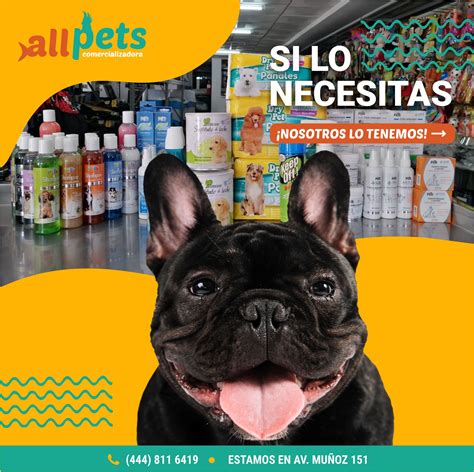 Todo Para Tu Clinica Veterinaria All Pets Comercializadora