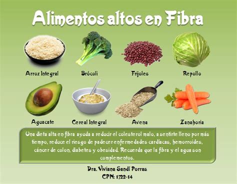 Alimentos Altos En Fibra Alimentos Altos En Fibra Alimentos Sanos