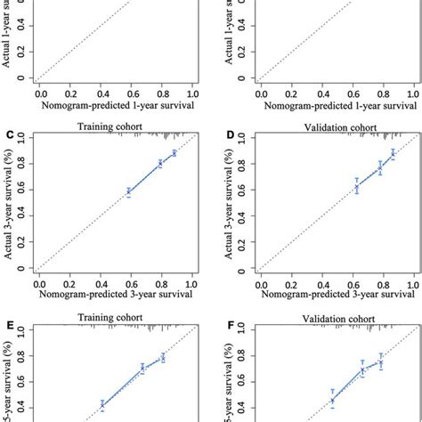 Calibration Curves For Predicting Overall Survival Rate By The Nomogram