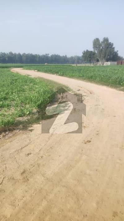 Kanal Agriculture Land Available For Sale In Main Raiwind Kasur Road