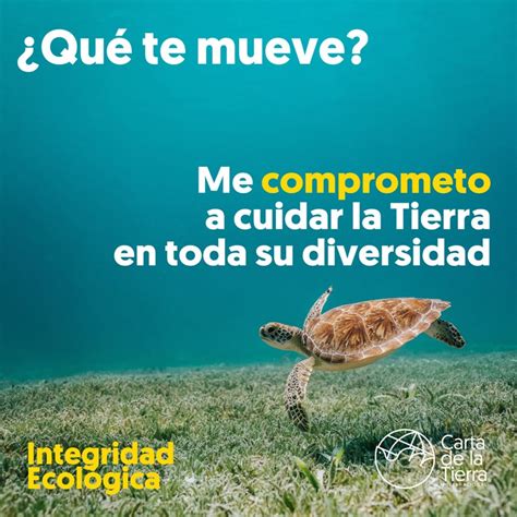 Compromiso Con La Carta De La Tierra Earth Charter