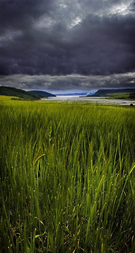 Munlochy Bay Photograph By Joe Macrae Fine Art America