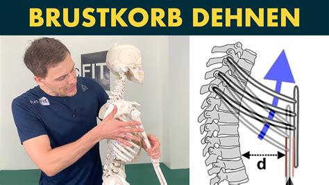 Brustkorb dehnen und Blockaden lösen mit 1 simplen Atemübung YouTube