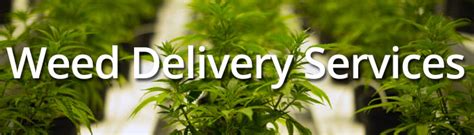 Weed Delivery Services: Find out how they save you money!