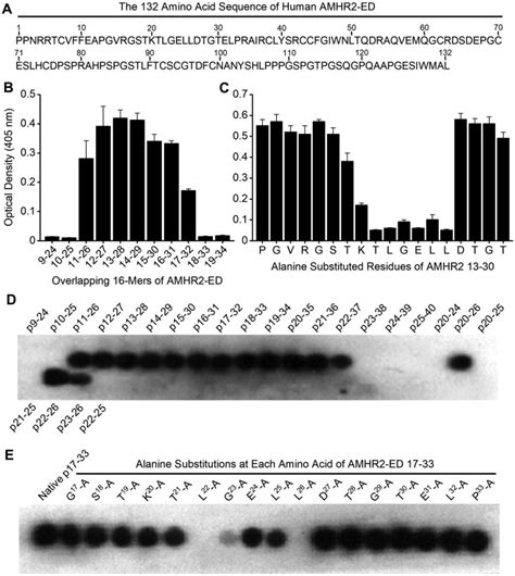 Ovcar 8 Cells Bioz Ratings For Life Science Research