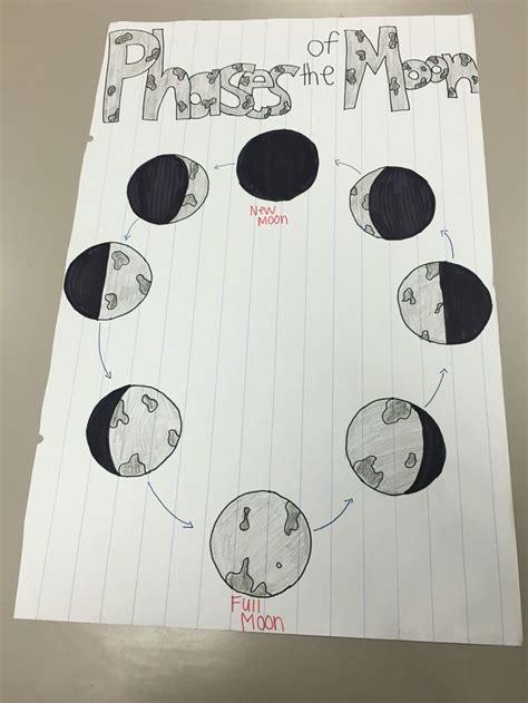 Phases Of The Moon Anchor Chart