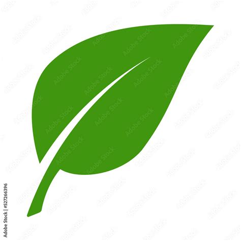 Silueta De Hoja De Planta O Rbol Aislada Stock Illustration Adobe Stock