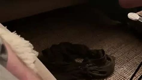 Free Wife Fingered Porn Videos XHamster