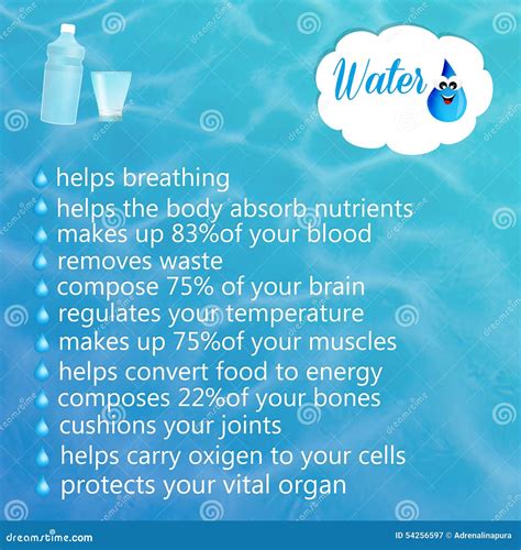 Importance Of Water Infographics Benefits For Health Information