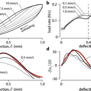 Large Displacement Analysis A Rate Dependent Hysteresis