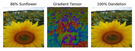 Input Attribution and Adversarial Examples | Form and Formula