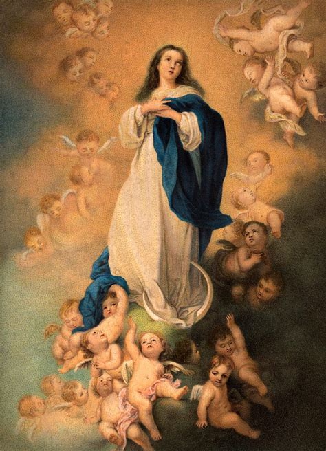 1080p Free Download Best 5 Assumption Of Mary On Hip Mother Mary