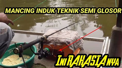 CARA MANCING TEKNIK SEMI GLOSOR INDUK IKAN MAS GALAPUNG YouTube