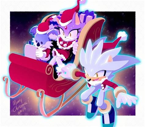 Pin By Paula On Sonic Couples Silver The Hedgehog Sonic And Shadow