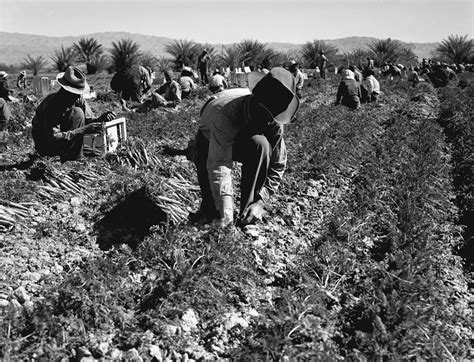 Migrant Workers 1937 Photograph By Granger Fine Art America