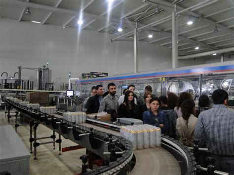 Study Tour Jsc Georgian Beer Company Zedazeni” Factory