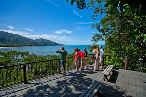 Cape Tribulation Daintree And Mossman Gorge Day Tour Queensland Kkday