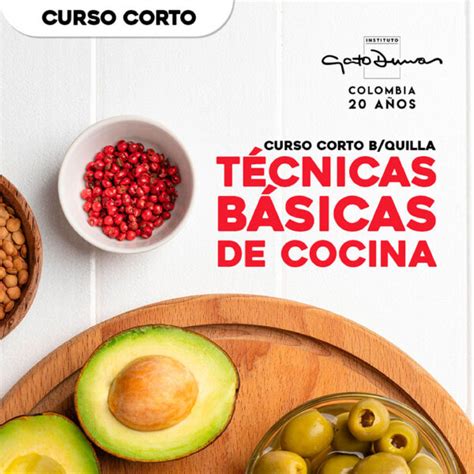 T Cnicas B Sicas De Cocina Gato Dumas Barranquilla