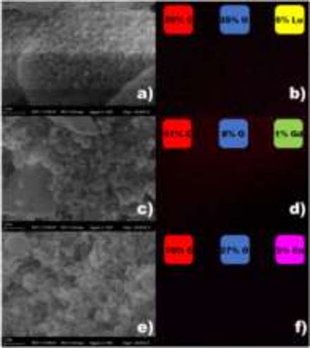 A C E SEM Images Of C4 NPs Labeled With Lu Gd And Eu Respectively