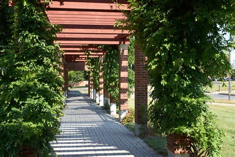 Chapel Walkway Explore The Le Moyne College Campus Le Moyne College