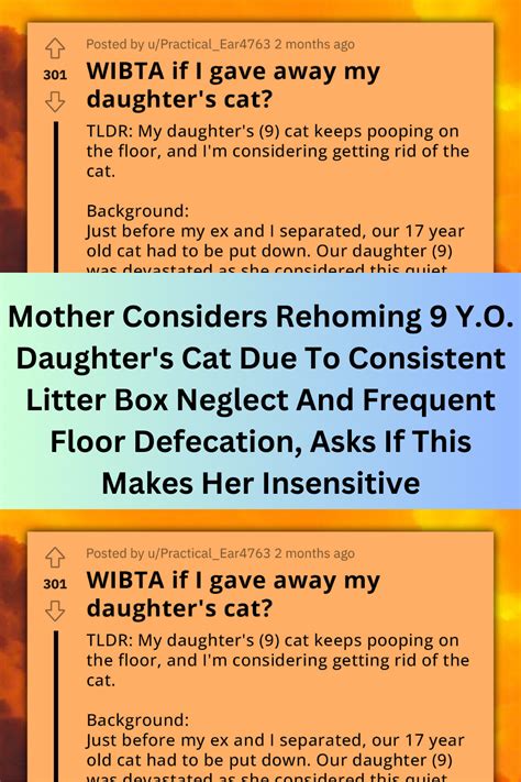 Mother Considers Rehoming 9 Y O Daughter S Cat Due To Consistent Litter Box Neglect And Frequent