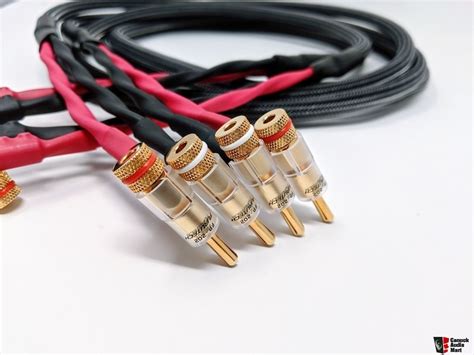 Awg S Star Quad Cables W Genuine Furutech Fp G Bananas For