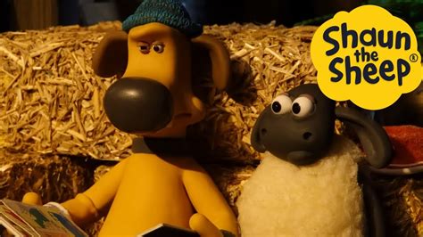 Shaun The Sheep 🐑 Timmy Story Time Cartoons For Kids 🐑 Full Episodes