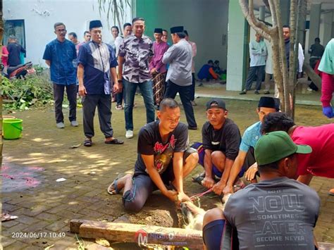 Pj Wali Kota Malang Tinjau Penyembelihan Hewan Kurban Di Dinas