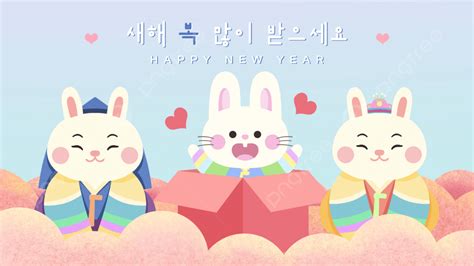 T Box Rabbit Korean Costume Year Of The Rabbit New Year Festival Web