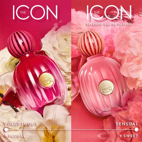 Perfume The Icon Splendid Banderas Edp Feminino Beleza Na Web