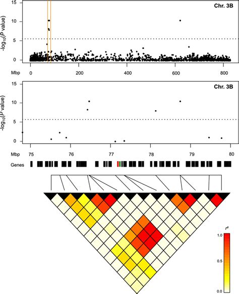 Fine Mapping Of The Major Qtl D For Ati Like On