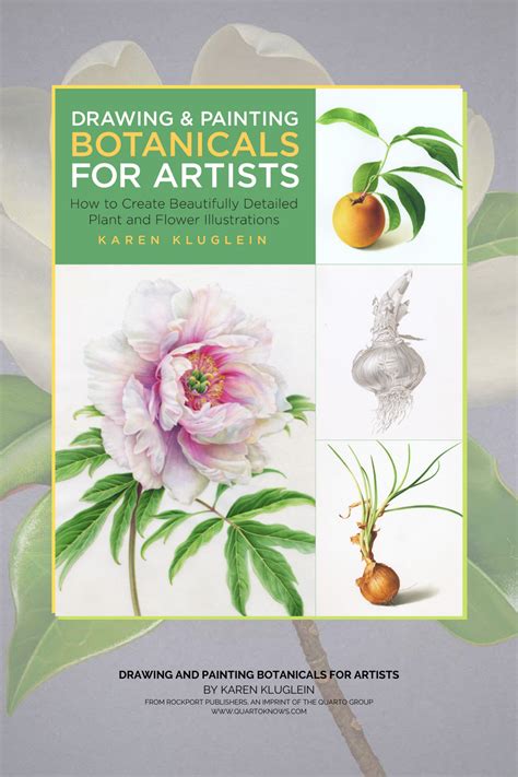 Drawing And Painting Botanicals For Artists Flower Illustration