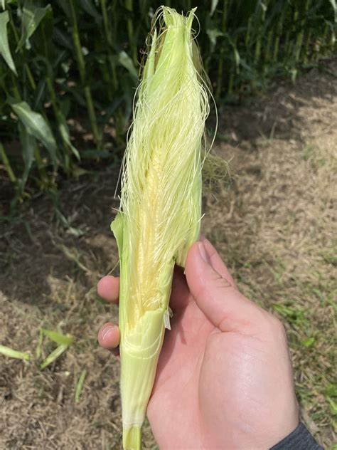 Gallery - Farmer’s Keeper LLC | Your Personal Grain Merchandiser