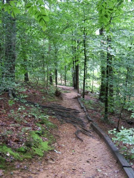 Rockwood Park Mountain Bike Trail in Richmond, Virginia || SINGLETRACKS.COM