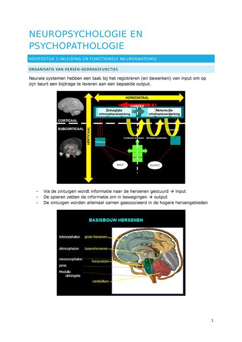 Samenvatting Neuro Neuropsychologie En Psychopathologie Hoofdstuk