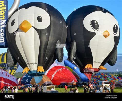 hot air balloon special shapes  res stock photography  images alamy