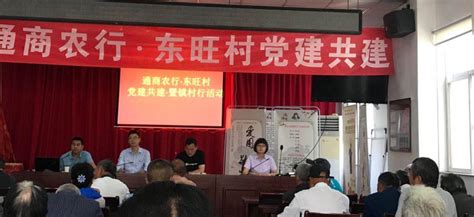 红色盐阜 砥砺奋进党旗红——大丰区“基层党建·先锋堡垒行动月”活动纪实