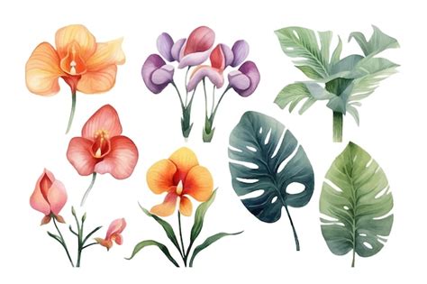 Premium Vector Set Of Tropical Leaves And Flowers Nature Botanical