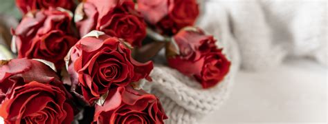 Combien Offrir De Roses Pour La Saint Valentin Roses Ternelles