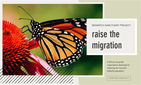 Monarch Sanctuary Project | Non-Profit for Monarch Butterfy Conservation