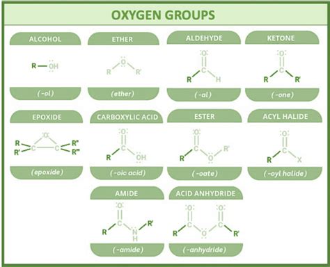 Mastering Functional Groups In Primary Education: KEY Concepts Unveiled