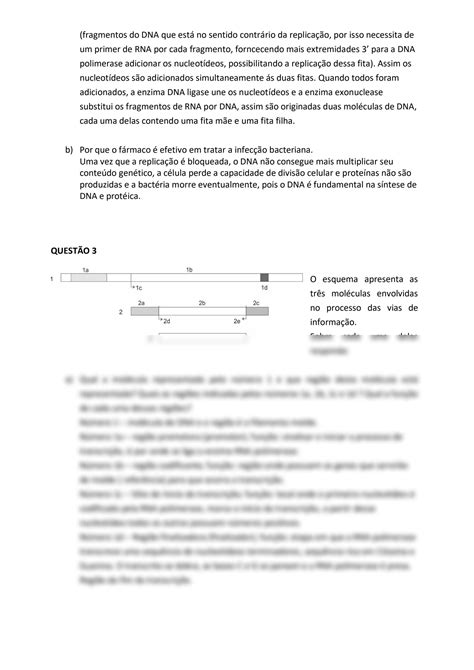 Solution Avalia O Gen Tica Camila Souza Studypool