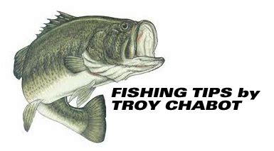 Bass Fishing Tips By Troy Chabot