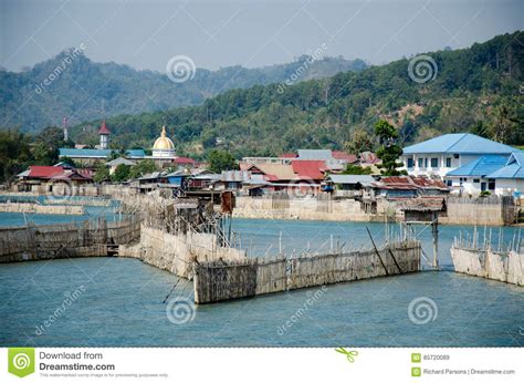 tentena sulawesi stock image image  clear river