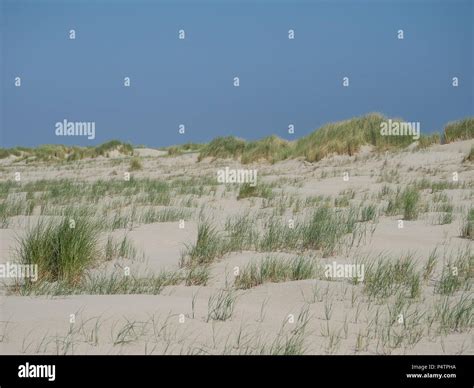 beach of juist Stock Photo - Alamy