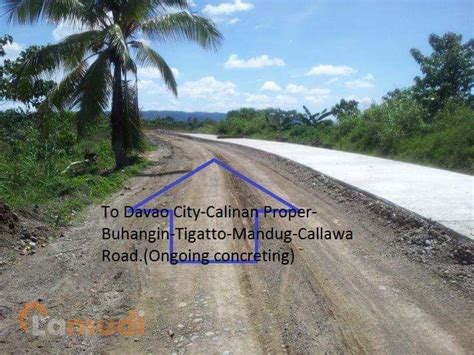 14 Hectares Agricultural Lot For Sale In Panabo Davao