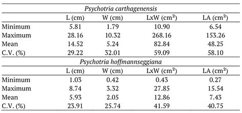 Leaf Area Estimation For Psychotria Carthagenensis And Psychotria