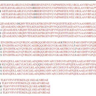 Multiple Sequence Alignment Of The Hypothetical Proteins From MRSA