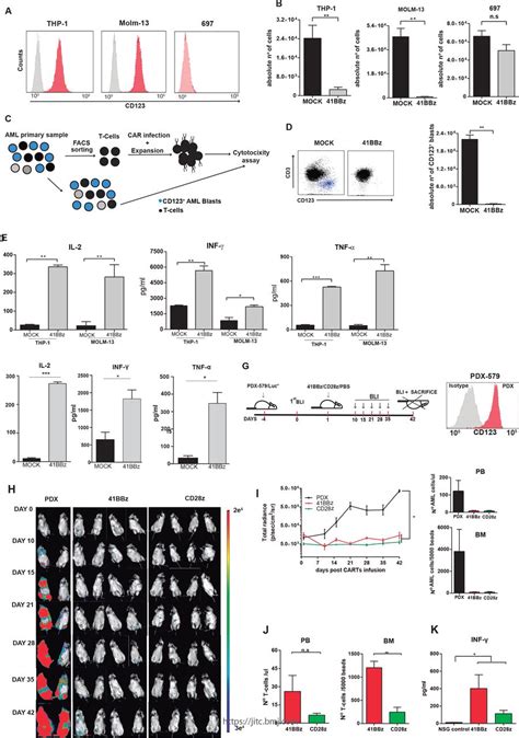 41bb Based And Cd28 Based Cd123 Redirected T Cells Ablate Human Normal