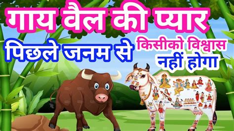 Gay Aur Bail Ka Pyar Love Of Cow And Ox Gay Gay Hindi Kahani Moral Stories Youtube